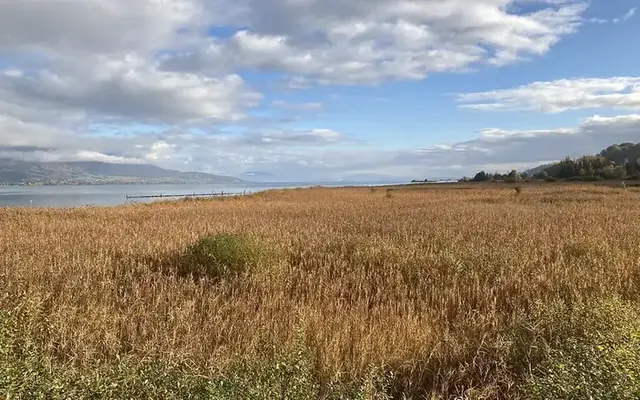 PAC eau lacustre dans le lac de Neuchâtel